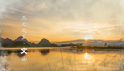 云南三七纪录片—山东华森影视